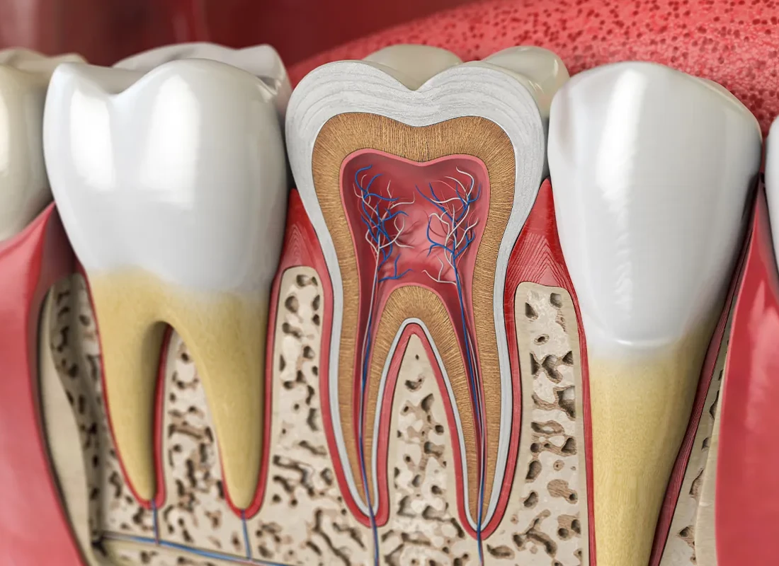 dentistry-(39).webp